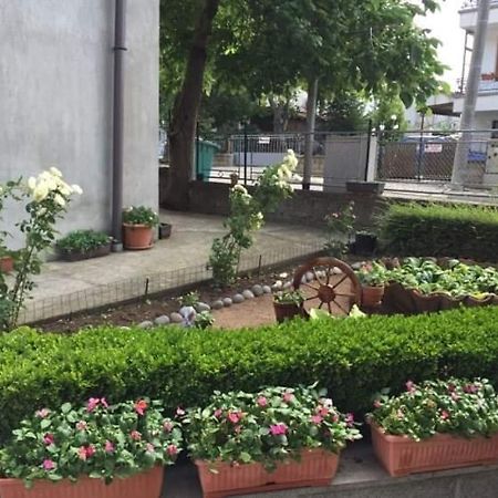 Къща Мечта Hotel Chernomorets Eksteriør billede